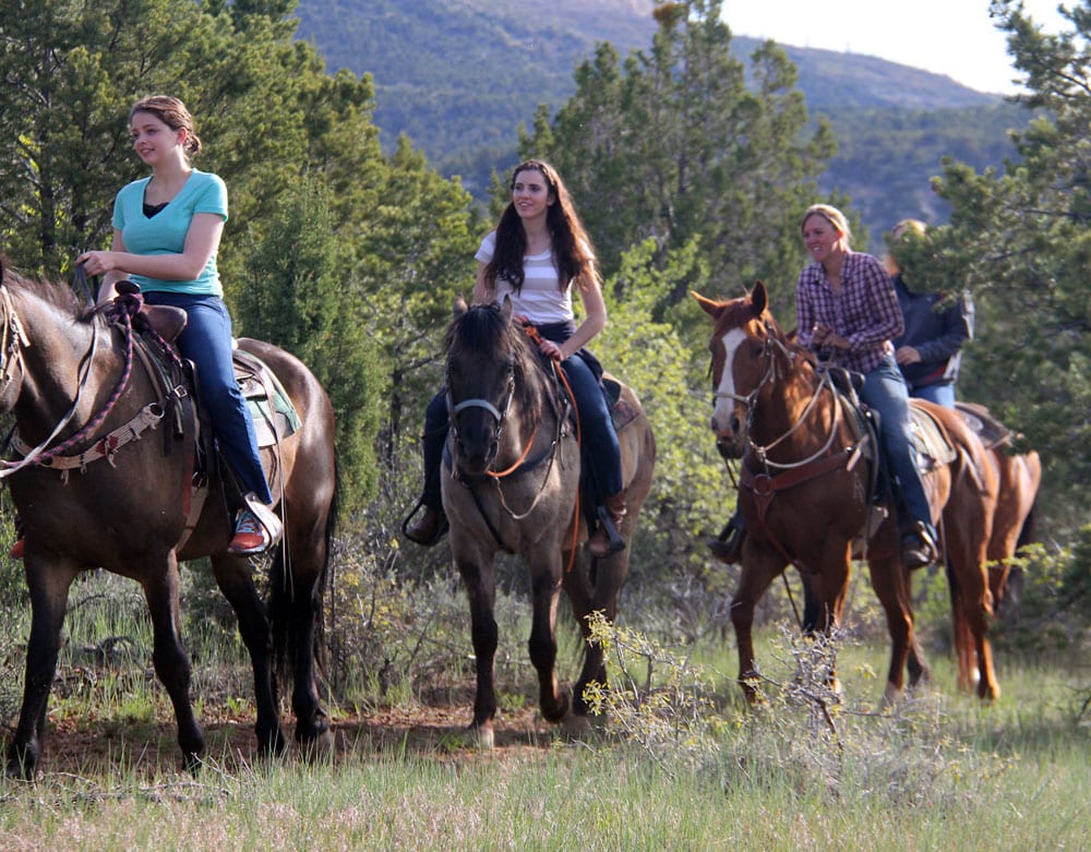 Four people riding horses along a wooded trail.